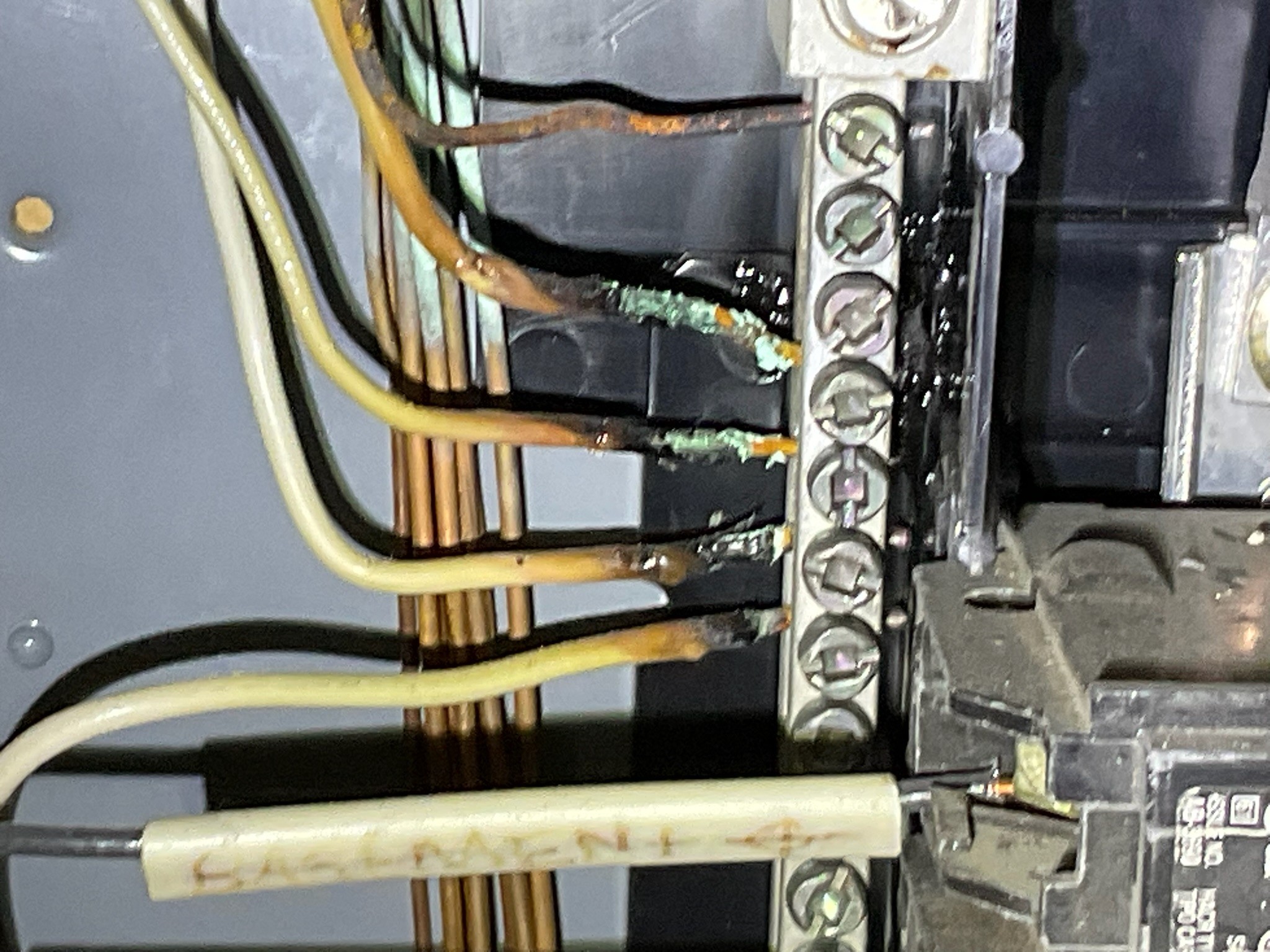 489928144_722322960151188_7995862549946140620_n