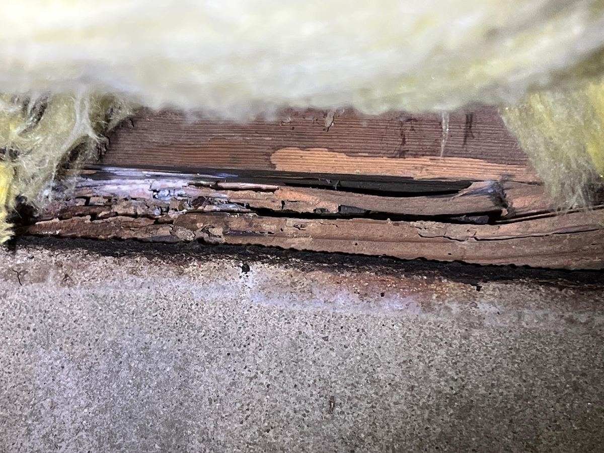 Deteriorated wood at the sill between the foundation and the framing above, seen in a crawlspace